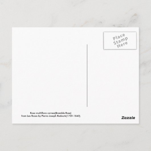 Rosa multiflora carnea (Bramble Roos) Briefkaart (Achterkant)