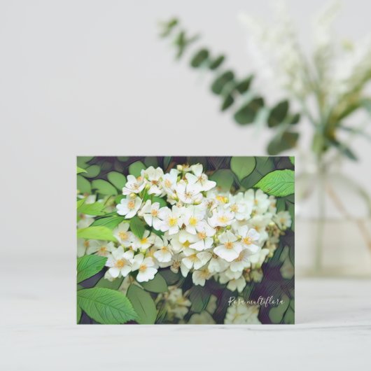 Rosa multiflora［Flat Card］ (Staand voorkant)