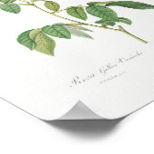 Rosa Mundi  Floral Pink Frans Roos Poster (Hoek)