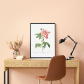 Rosa Mundi  Floral Pink Frans Roos Poster
