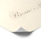 Rosa Muscosa Poster (Hoek)