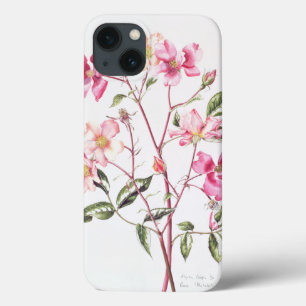 Rosa "Mutabilis" 1996 Case-Mate iPhone Case