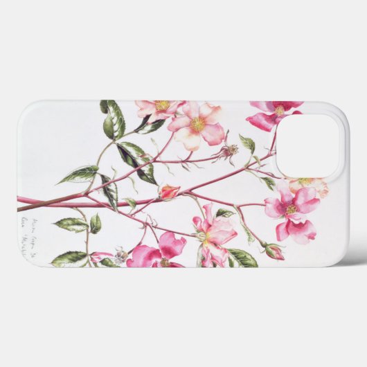 Rosa "Mutabilis" 1996 Case-Mate iPhone Case (Achterkant (horizontaal))