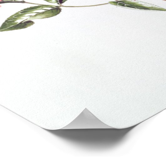 Rosa "Mutabilis" 1996 Poster (Hoek)