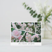 Rosa New Dawn Briefkaart (Staand voorkant)