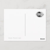 Rosa New Dawn Briefkaart (Achterkant)