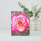 Rosa Nicole (Briefkaart) Briefkaart (Staand voorkant)