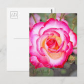 Rosa Nicole (Briefkaart) Briefkaart (Voorkant / Achterkant)