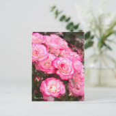 Rosa Nicole (Briefkaart) Briefkaart (Staand voorkant)