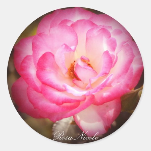 Rosa Nicole Ronde Sticker (Voorkant)