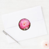 Rosa Nicole Ronde Sticker (Envelop)
