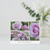 Rosa Novalis Briefkaart (Staand voorkant)