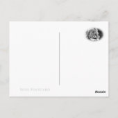 Rosa Novalis Briefkaart (Achterkant)