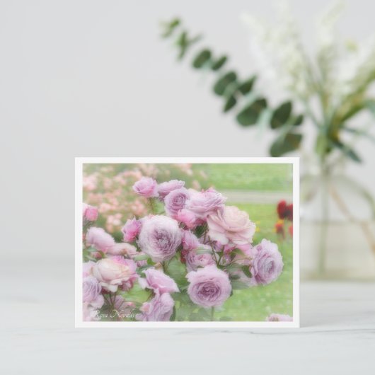 Rosa Novalis Briefkaart (Staand voorkant)