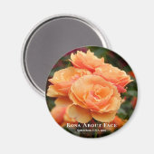 Rosa over gezicht magneet (Voorkant / Achterkant)
