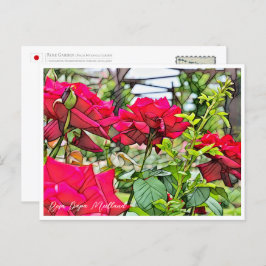 Rosa Papa Meilland Briefkaart