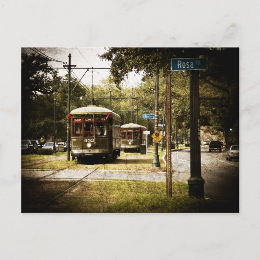 Rosa Park Drive Streetcars Briefkaart (Voorkant)