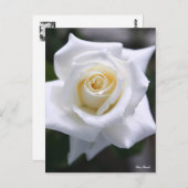 Rosa Pascali:Briefkaart Briefkaart (Voorkant / Achterkant)