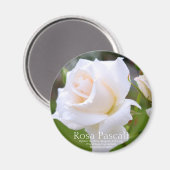 Rosa Pascali [Round Magnet] Magneet (Voorkant / Achterkant)