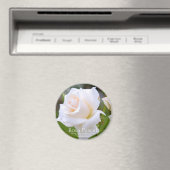 Rosa Pascali [Round Magnet] Magneet (Insitu (Vaatwasser))