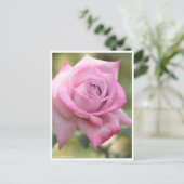 Rosa Pastel Mauve Briefkaart (Staand voorkant)