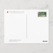 Rosa Peace Briefkaart (Achterkant)