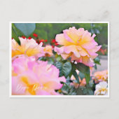 Rosa Peace Briefkaart (Voorkant)