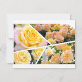 Rosa Peace [Flat Card] (Voorkant)