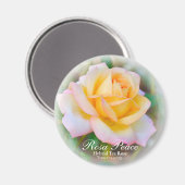 Rosa Peace Magneet (Voorkant / Achterkant)