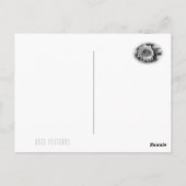 Rosa Pierre de Ronsard Briefkaart (Achterkant)