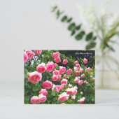 Rosa Pierre de Ronsard [Briefkaart] ポ ス カ ー ド Briefkaart (Staand voorkant)