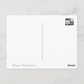 Rosa Pierre de Ronsard:Briefkaart Briefkaart (Achterkant)
