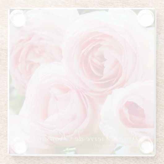 Rosa Pierre de Ronsard (Glass Onderzetter) Glazen Onderzetter (Achterkant)