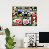 Rosa Pierre de Ronsard [Kunstposter] Poster (Thuiskantoor)