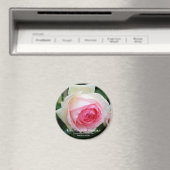 Rosa Pierre de Ronsard Magneet (Insitu (Vaatwasser))