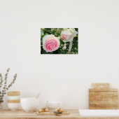 Rosa Pierre de Ronsard Poster (Keuken)