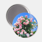 Rosa Pierre de Ronsard [Round Magnet] Magneet (Voorkant / Achterkant)