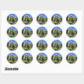 Rosa Pierre de Ronsard:Seal Ronde Sticker (Vel)