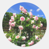 Rosa Pierre de Ronsard:Seal Ronde Sticker (Voorkant)