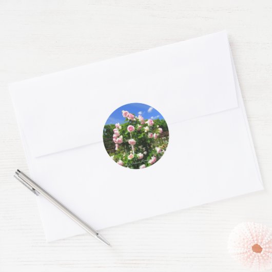 Rosa Pierre de Ronsard:Seal Ronde Sticker (Envelop)