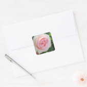 Rosa Pierre de Ronsard:Seal Vierkante Sticker (Envelop)