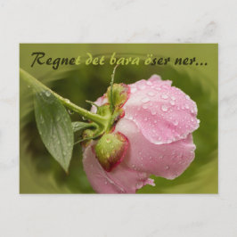Rosa pion med glittrande vattendroppar CC0516 Briefkaart