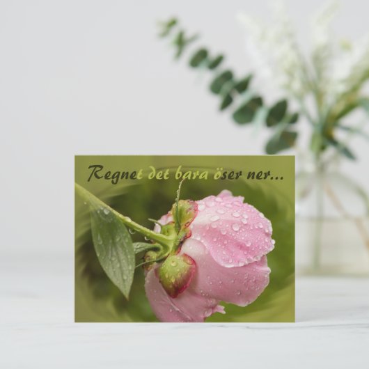 Rosa pion med glittrande vattendroppar CC0516 Briefkaart (Staand voorkant)