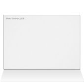 Rosa pion med glittrande vattendroppar CC0779 (Binnen Horizontaal (Boven))