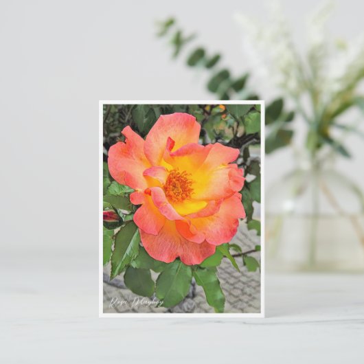 Rosa Playboy Briefkaart (Staand voorkant)