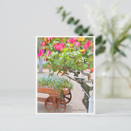 Rosa Playboy Briefkaart (Staand voorkant)