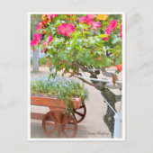 Rosa Playboy Briefkaart (Voorkant)