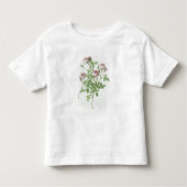 Rosa Pomponia uit de Les-Rozen Kinder Shirts (Voorkant)