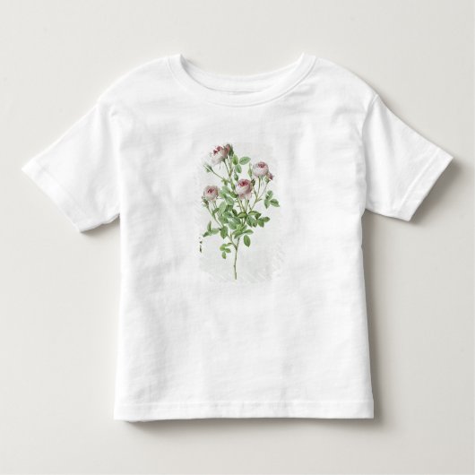 Rosa Pomponia uit de Les-Rozen Kinder Shirts (Voorkant)