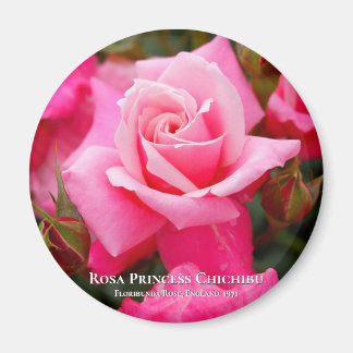 Rosa Princess Chichibu マ グ ネ ト Magneet